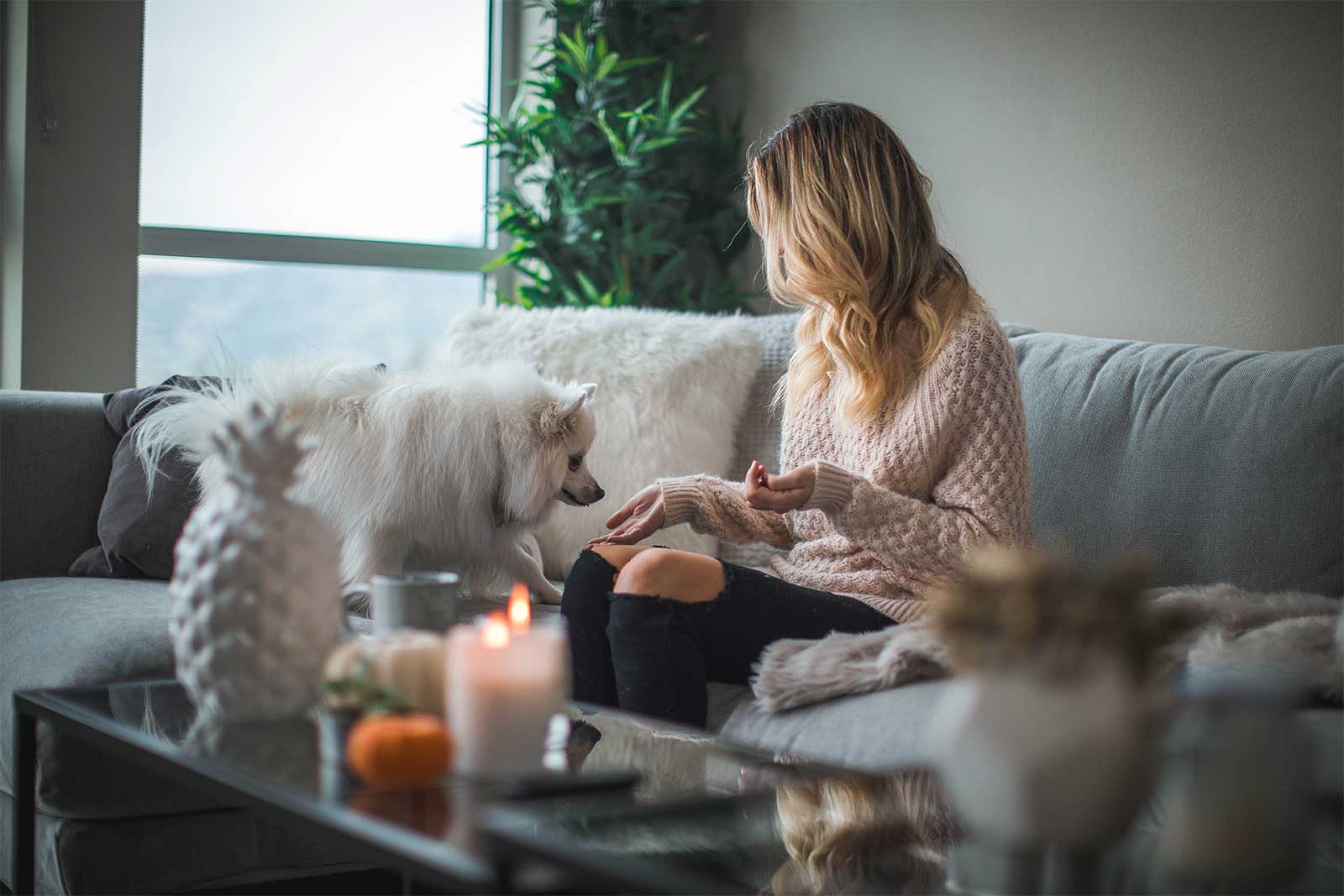 Pet-Friendly